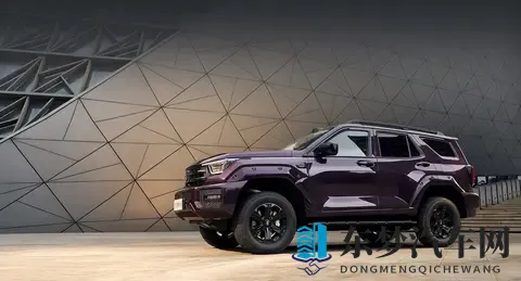 新款坦克400上市，2498万起售，四种动力可选！