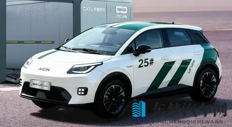 小车也有大市场：2025新能源小车“顶流”密码！-1