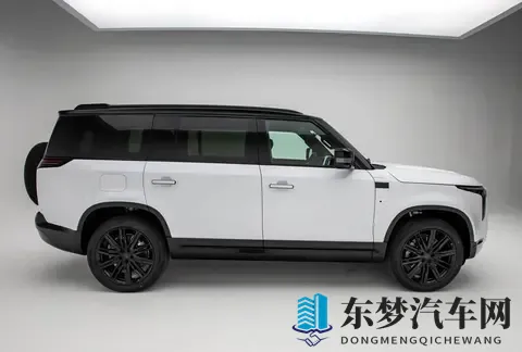 深受中东大哥喜爱的国产“路虎卫士”，极石ADAMAS国内首发-1