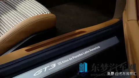 保时捷推出全新Sonderwunsch定制版911 GT3 “豹猫”-2