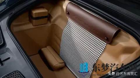 保时捷推出全新Sonderwunsch定制版911 GT3 “豹猫”-3