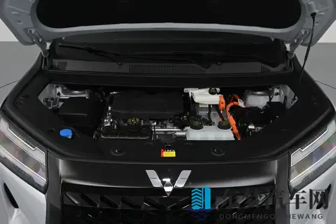 预售1068万，7座布局，配全景影像，星光730 PHEV家用合适吗？-2