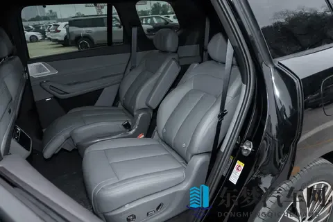 2998万起售，六座布局，腾势N8L DM适合家用吗？-2