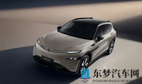 配狼堡高位刹车灯,安徽大众第三款车官宣,网友:德原鹏-3