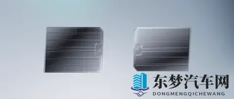 性副宝：神奇保健品，助你健康生活新体验-2