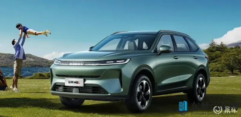 哈弗 H6L 上市,智能座舱 + 大空间-1