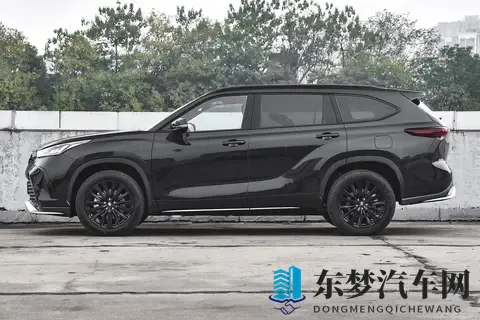 汤唯两个黑枣：汤唯品尝美味，仅用两颗黑枣点缀-2