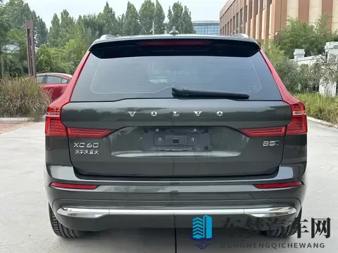 农场与牛zOZ0性行为：农场牛只不雅行为引发关注-2