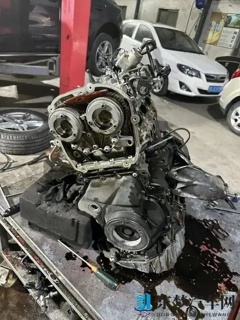 油车才是主宰，电车20年后会消失？车主的真实想法很现实-2