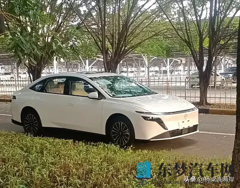 好爽 好紧 蓝忘机魏无羡:蓝忘机魏无羡,情感纠葛引人入胜-2