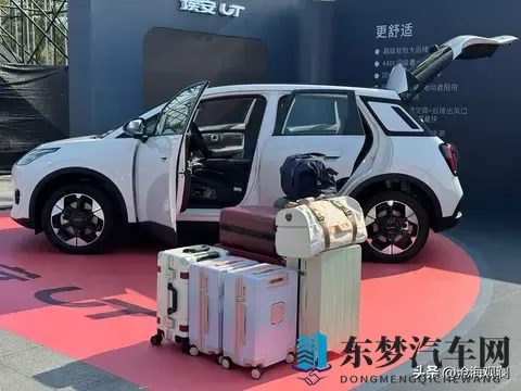 京东掀桌了！49999块的新车，刺痛了谁的神经？-3