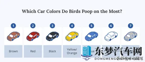 鸟真的会更喜欢在某些款式和颜色的车上拉屎吗？-1