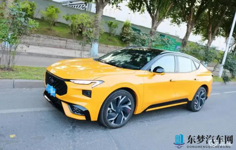 人妻共亨互换ShrieSe：汽车新潮流：共享互用，颠覆传统购车观-1