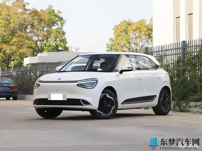 皇子成年礼共大臣使用：汽车品牌成人礼：揭秘限量版车型背后的故事