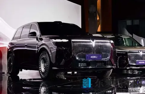 按摩师让少妇高潮喷水：新能源汽车崛起，中国市场未来可期-2