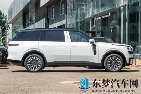 别让“大三排”变“大焦虑”，乐道L90和领克900谁更懂二胎家庭？-1