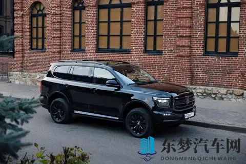 中国汽车对俄罗斯出口销量下降过半，原因是什么？-1