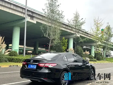 入月丁香几月婷婷：月夜丁香，春意盎然婷婷立