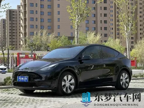 油车才是主宰，电车20年后会消失？车主的真实想法很现实-3