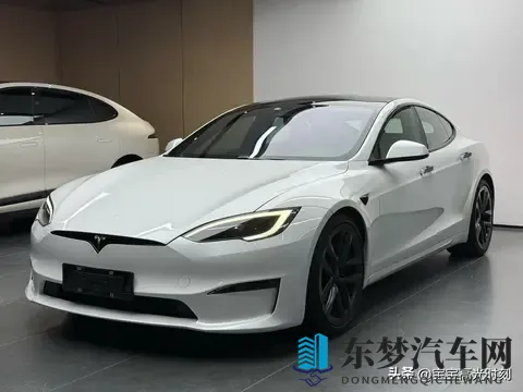 特斯拉价格博弈：一场关于消费选择与权力的游戏-1