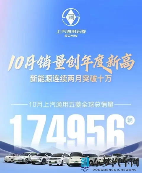 政策因素推动车市分化，主流车企增长乏力，新势力纯电动销量大涨