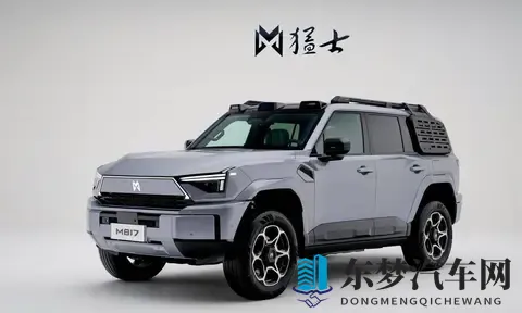 2025年10月方盒子车销量大洗牌：谁在逆袭？谁已掉队？-1