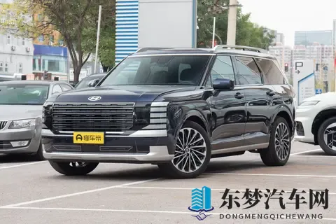 2026款帕里斯帝，外观硬朗大气，内饰豪华舒适，适合全家出行-2