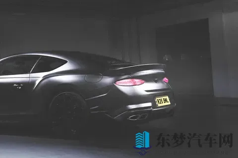 天天射天天舔：新能源车型崛起，技术创新引领潮流-2