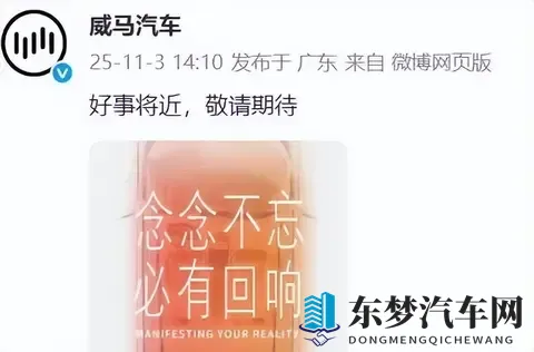 威马汽车复活，没那么简单-1