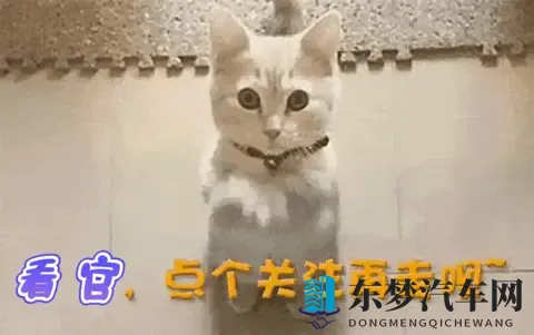 色大师在线观看：《色相大师》精彩内容免费看