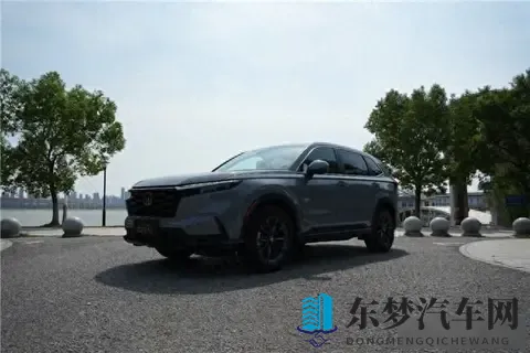 大屁股xxxx:臀部丰满xxx之美-2