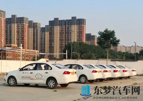 涩y99：速度与激情，时尚座驾大揭秘