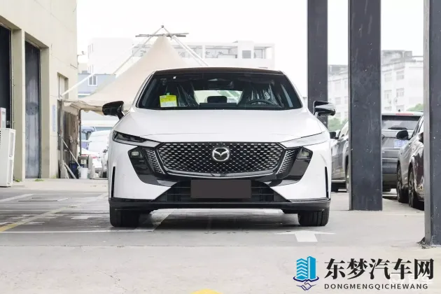 精品日本体内She精2：日系新宠，混合动力豪华座驾，揭秘诞生之谜-1