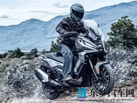 男生和女生差差app：性别差异互动平台