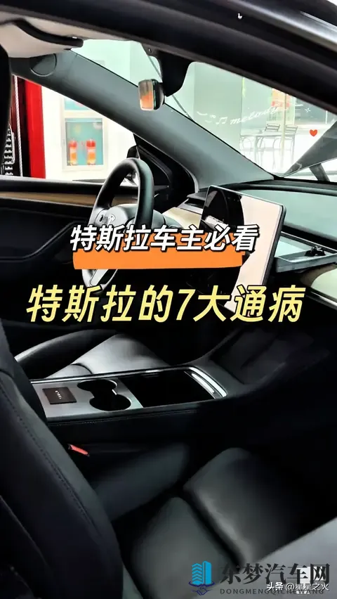 特斯拉车主必看！7大通病实测曝光-1