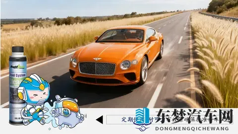 冷启动直接踩油门？北方车主注意！-1