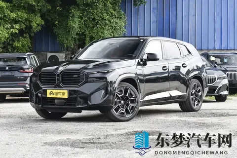 全新宝马X8登场：溜背设计引热议，智能与运动兼备瞄准中产新需求