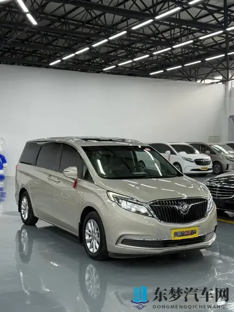 开了五年的别克GL8，当年落地近30万，现在13万多就能拿下？-1