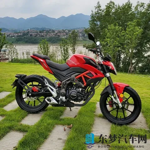 2025摩托车新手入门全攻略 法规解读+车型推荐+装备清单+驾驶技巧-2