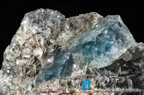 方程豹要推“镁”车，命名太硬核，品牌能扛住吗-2