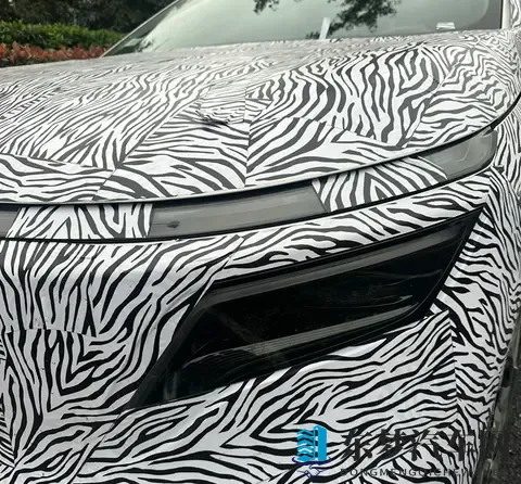 纯电动大六座，会用华为技术吗？疑似日产N8谍照曝光-2