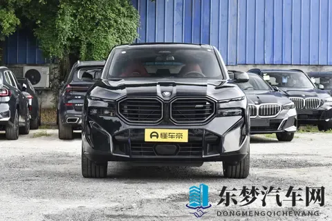 全新宝马X8登场：溜背设计引热议，智能与运动兼备瞄准中产新需求-1