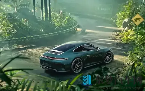 全球仅1台 保时捷911 GT3 Touring Ocelot官图正式发布-2