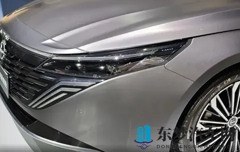 打扑克不盖被子:深夜聚会玩牌,保暖不忘情趣逗乐-2