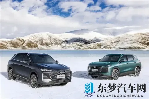 奇瑞最畅销SUV！第五代瑞虎8上市：限时929万元起-1