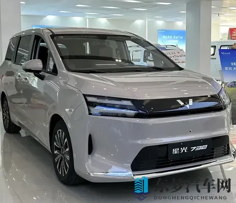 新车|预售768万元起,五菱星光730将于11月12日上市,7座MPV-2