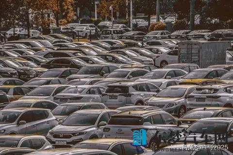 倒闭车企“烂尾车”受年轻人青睐，独特消费观引热议-3
