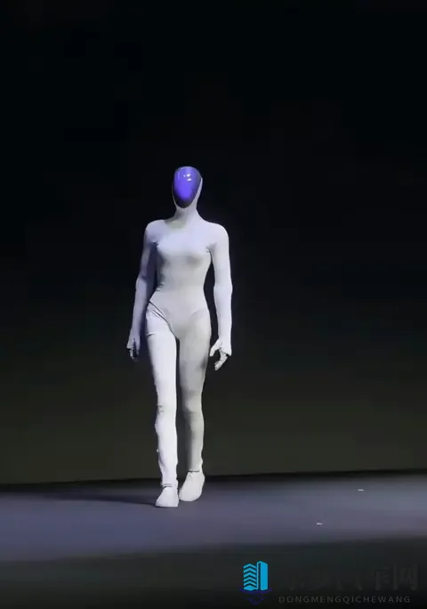 特斯拉VS小鹏：一个练太极一个走猫步，谁才是未来“打工人”？-1