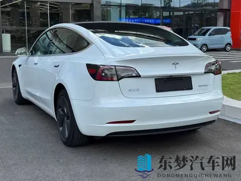 11万多圆梦特斯拉，20款Model3，通勤代步新选择？