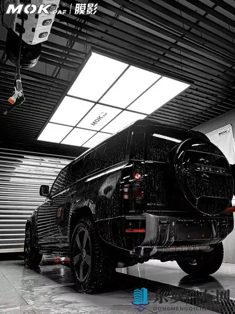 为什么黑色车贴车衣的更多?-1